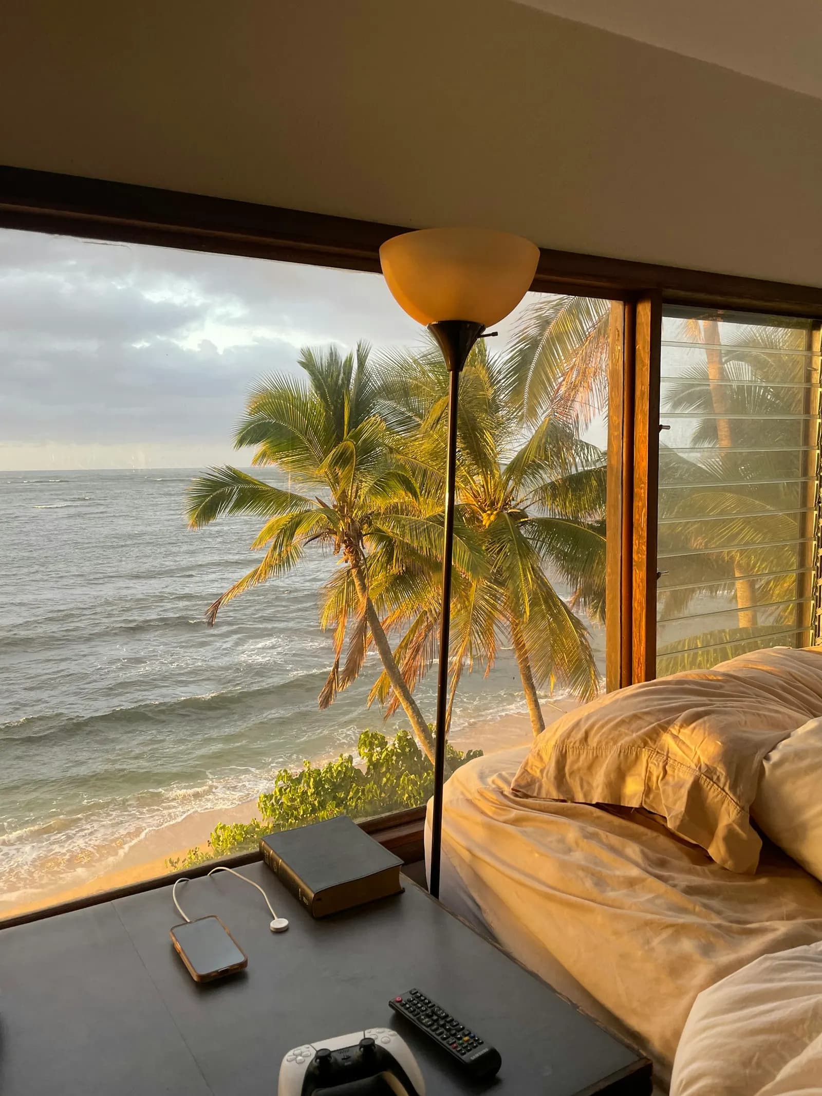 A bedroom window with a view of palm trees and the ocean.